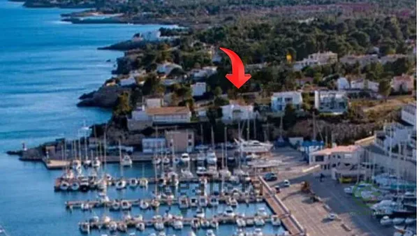 Spot image
