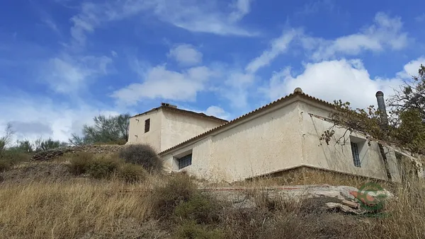 Spot image