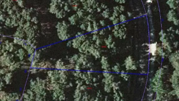Spot image