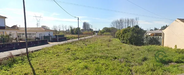 Spot image