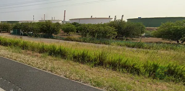 Spot image