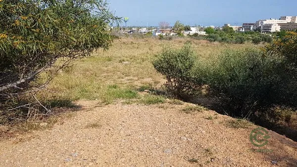 Spot image