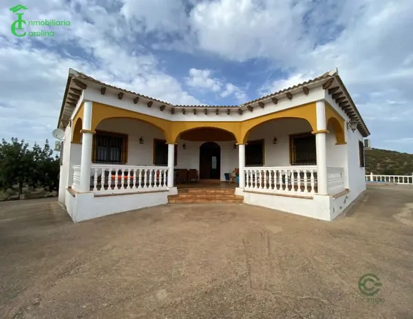 Spot image