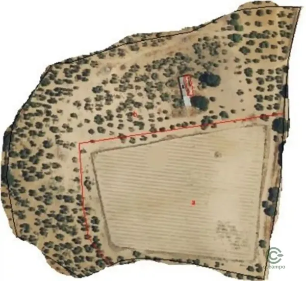 Spot image