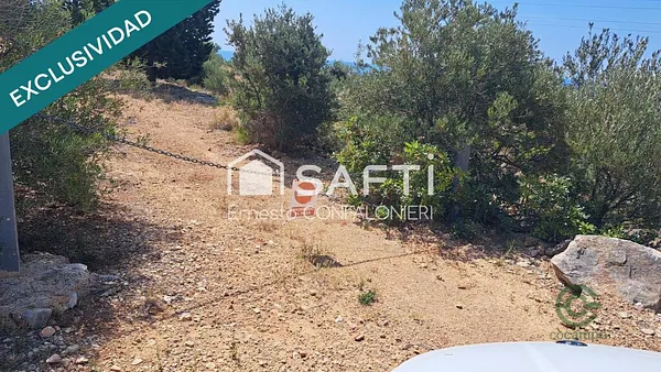 Spot image