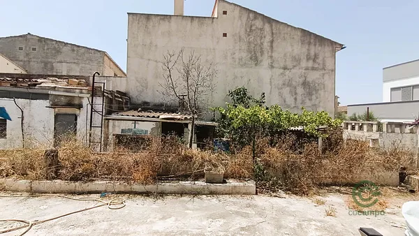 Spot image