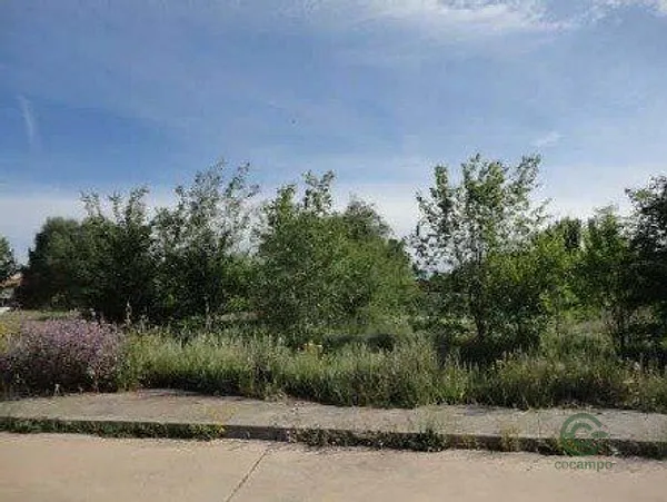 Spot image
