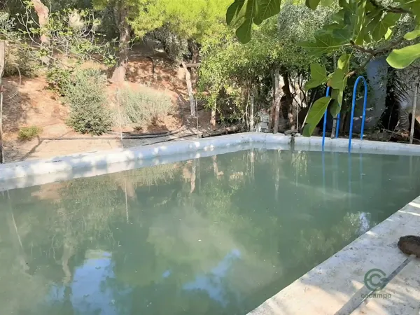 Spot image