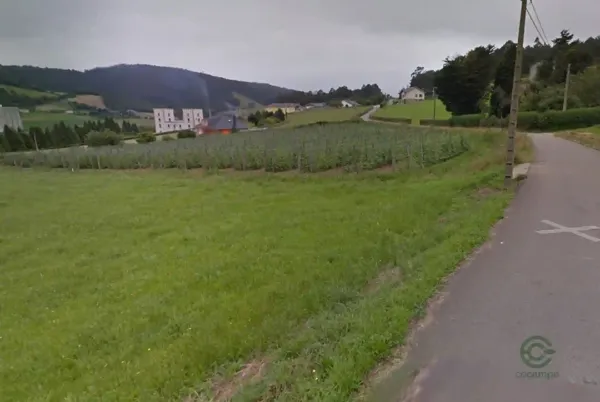 Spot image
