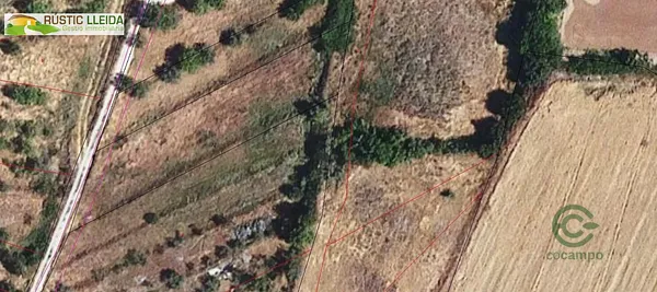 Spot image