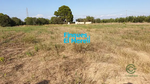 Spot image