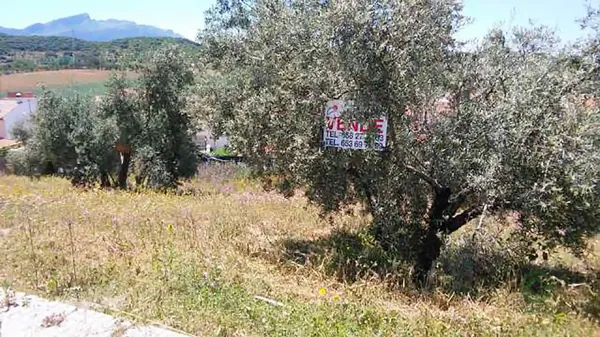 Spot image