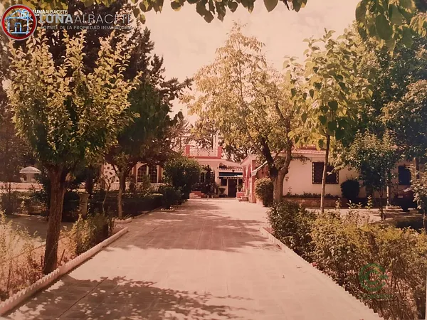 Spot image