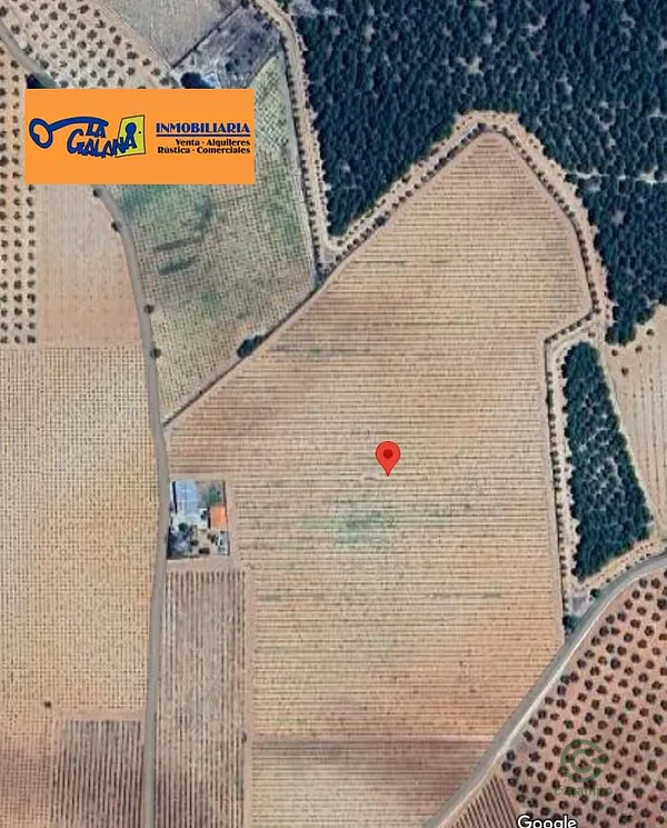 Spot image