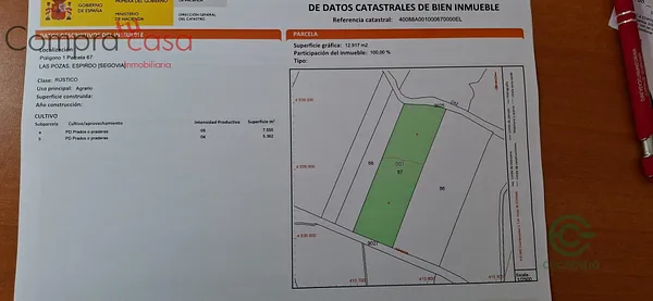 Spot image