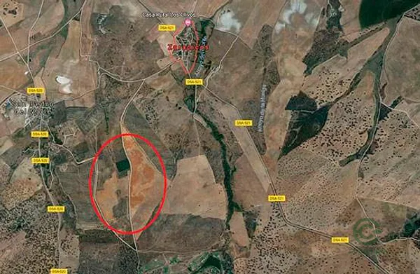 Spot image