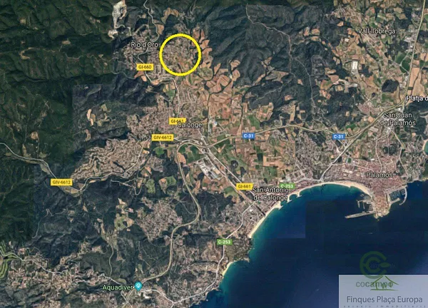 Spot image
