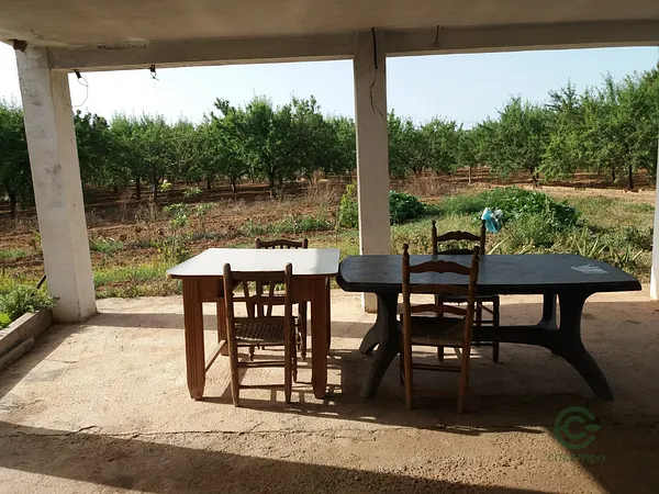 Spot image