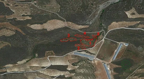 Spot image