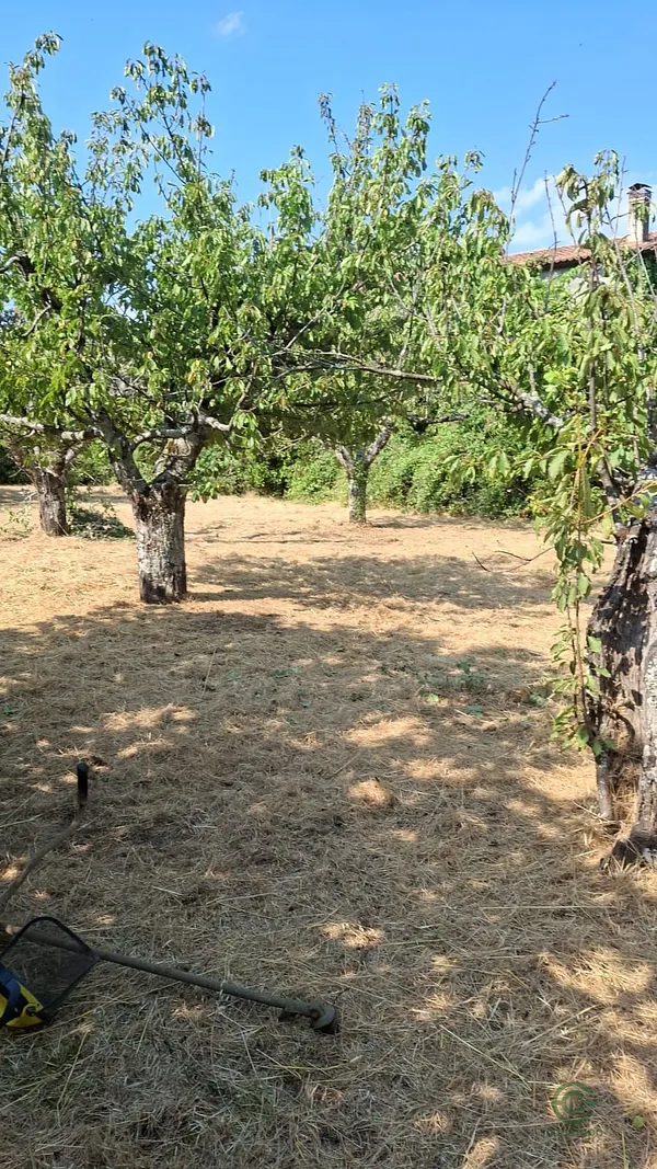 Spot image