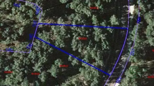 Spot image