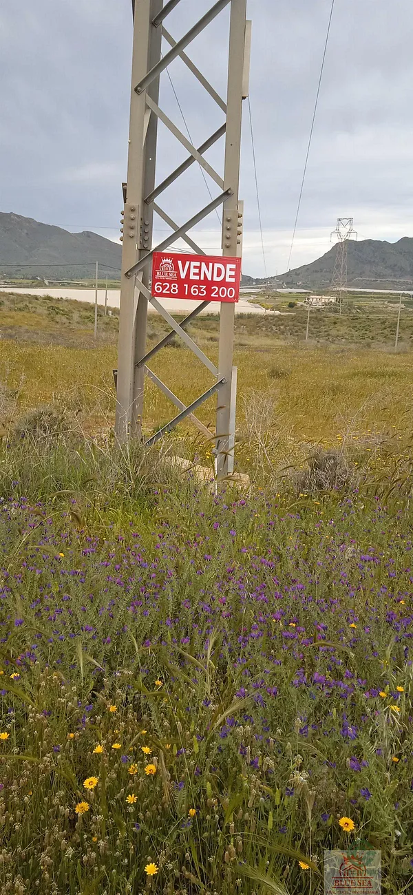 Spot image