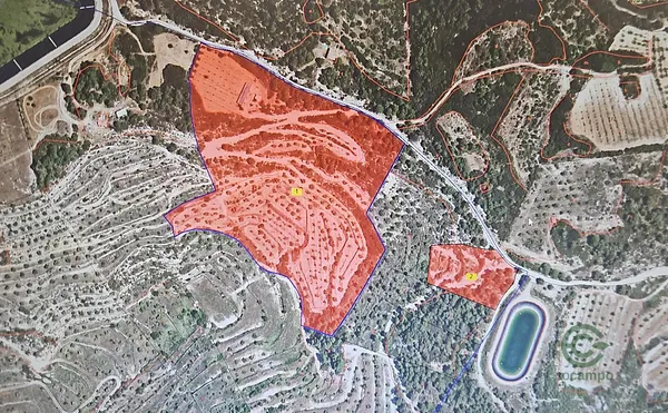 Spot image