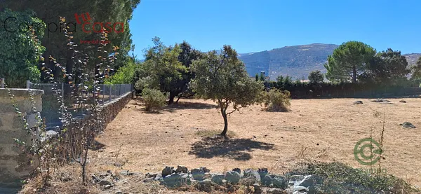 Spot image