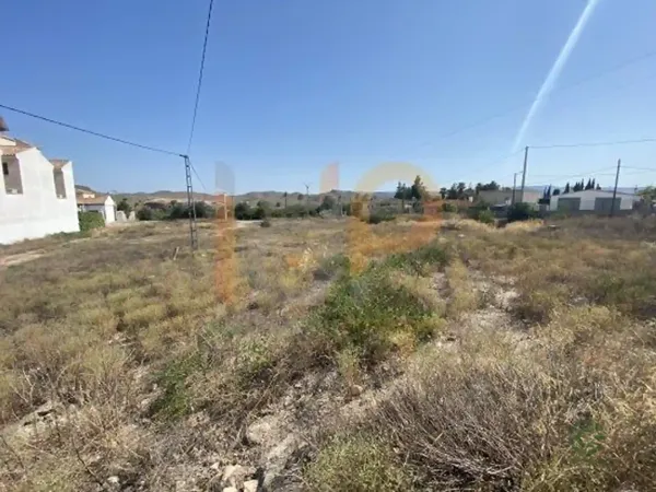 Spot image