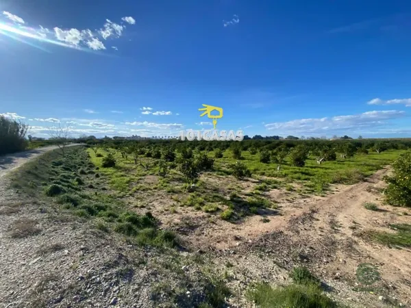 Spot image