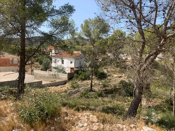 Spot image
