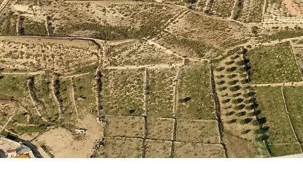 Spot image