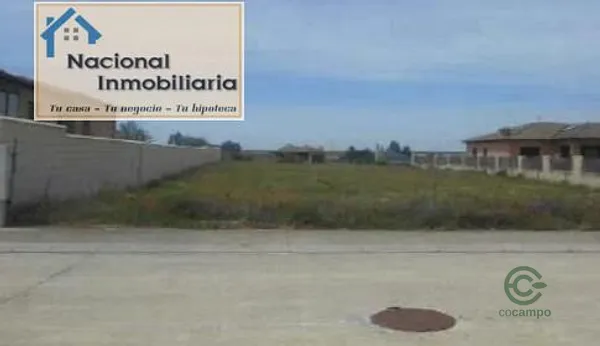 Spot image