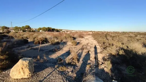Spot image