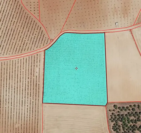 Spot image