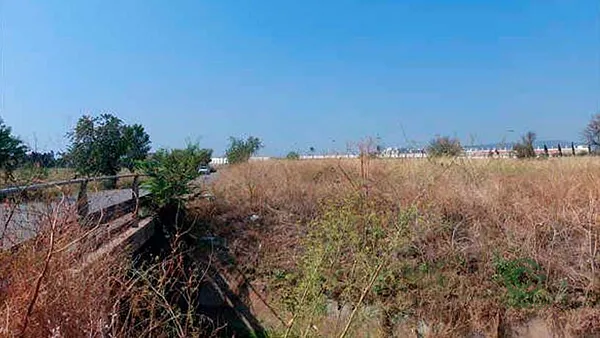 Spot image