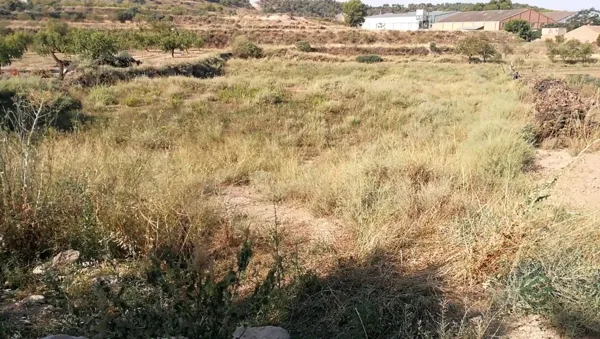Spot image