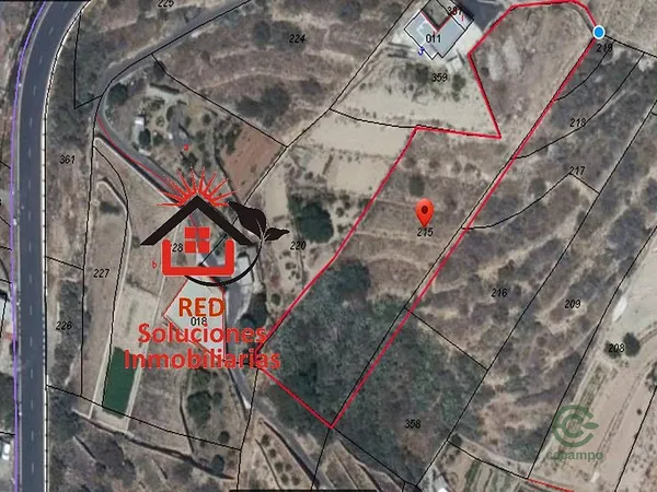 Spot image