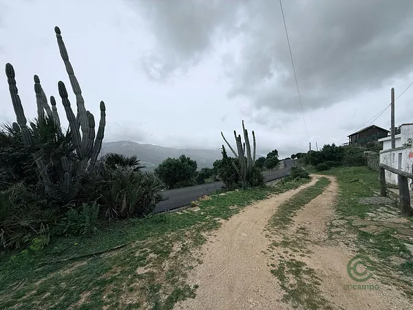 Spot image