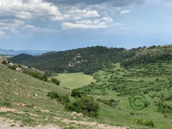 Spot image
