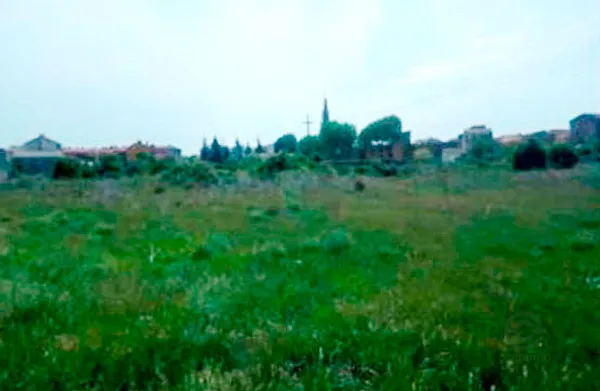 Spot image