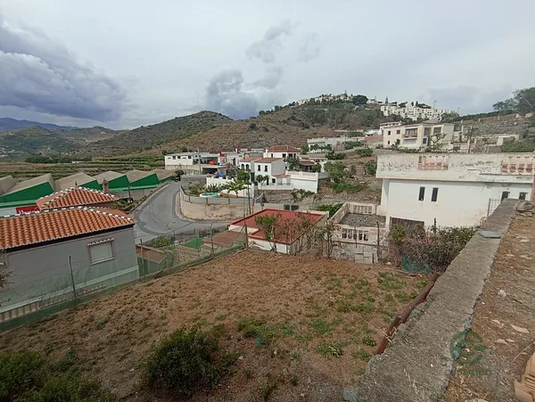 Spot image