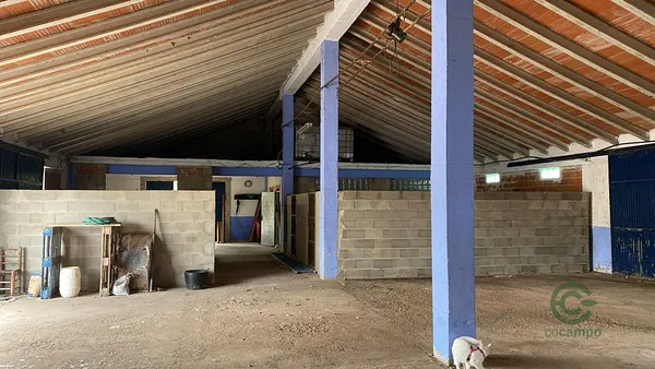 Spot image
