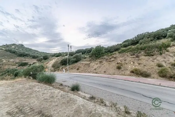 Spot image