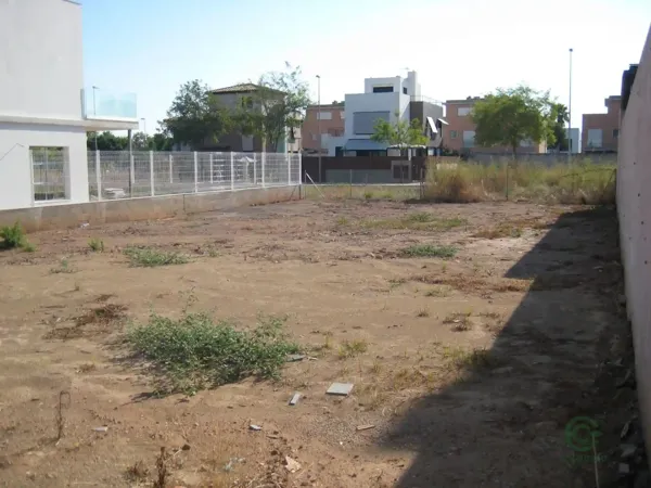 Spot image