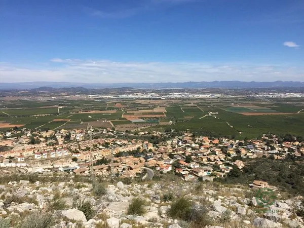 Spot image