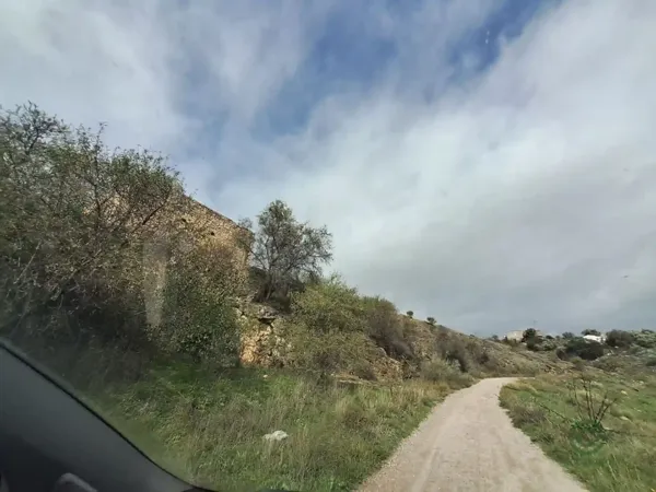 Spot image