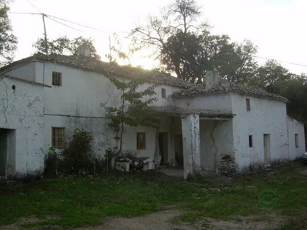 Spot image