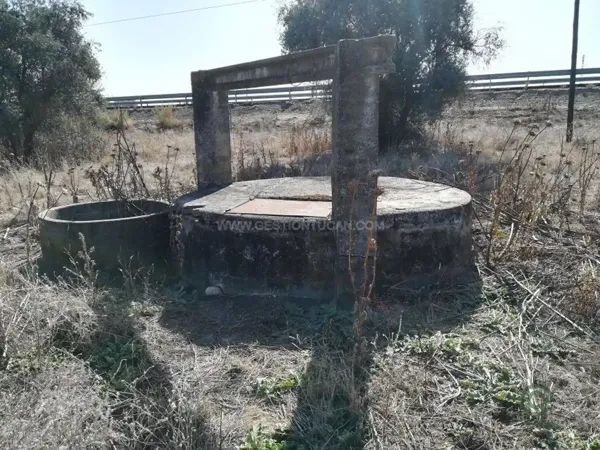 Spot image