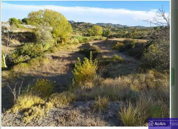Spot image